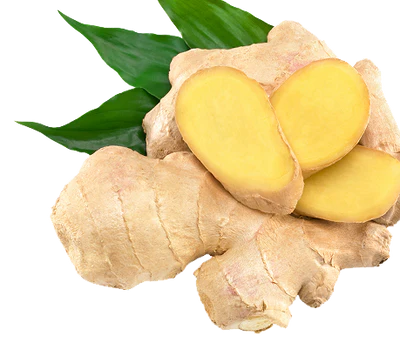 Camomilla
